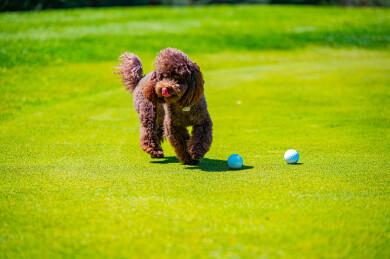 charity-golf-cup-5-rocnik-46